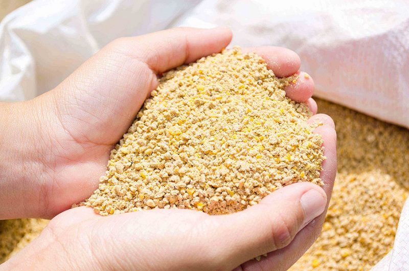 phụ gia trong thức ăn chăn nuôi