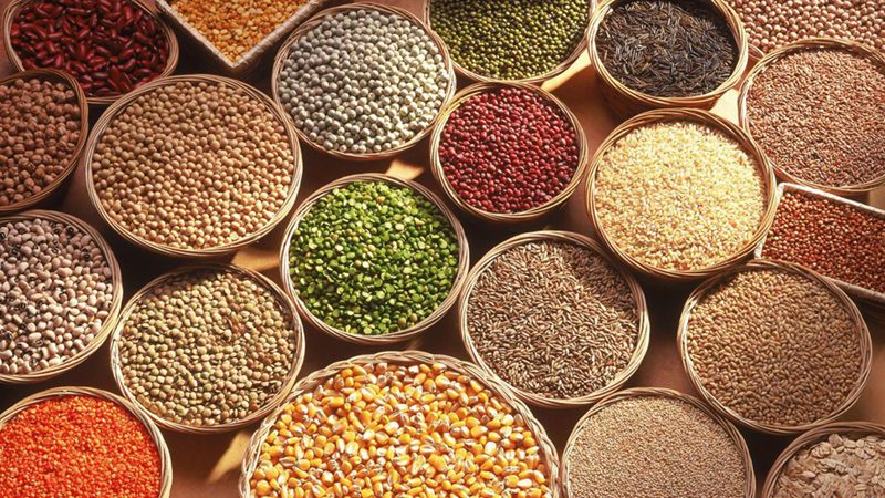 phụ gia trong thức ăn chăn nuôi
