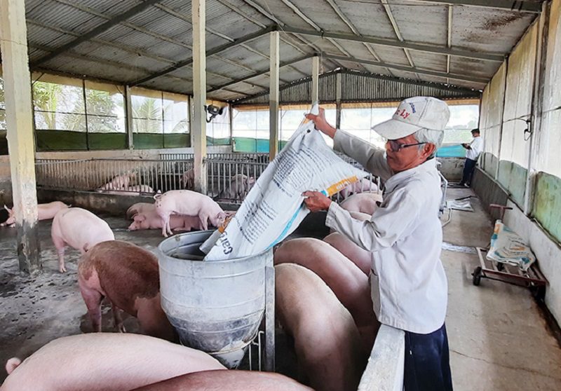 lưu ý khi trộn thức ăn chăn nuôi
