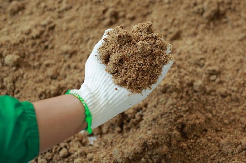 bột cá trong thức ăn chăn nuôi