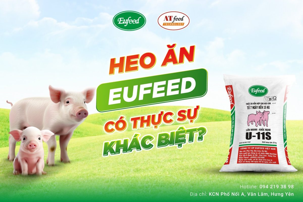 thời hạn sử dụng thức ăn chăn nuôi