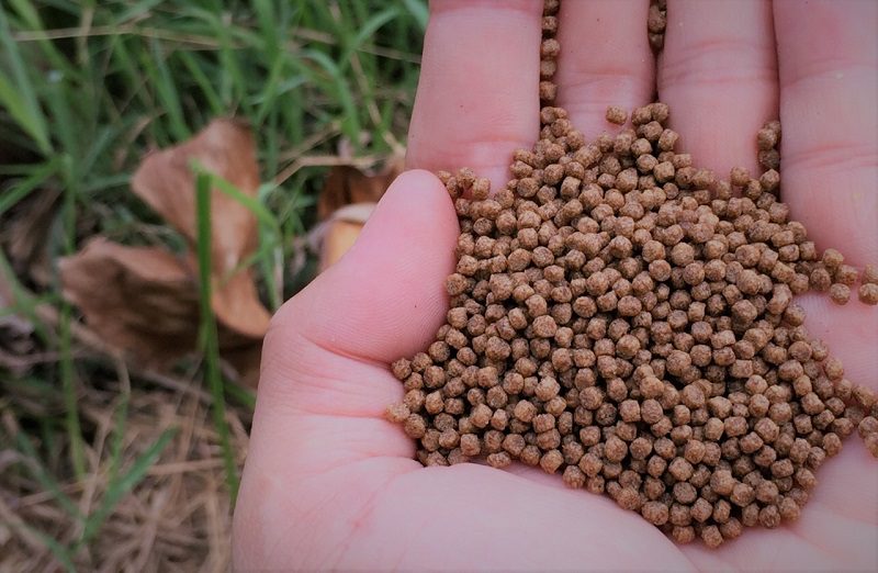 khoáng chất trong thức ăn chăn nuôi