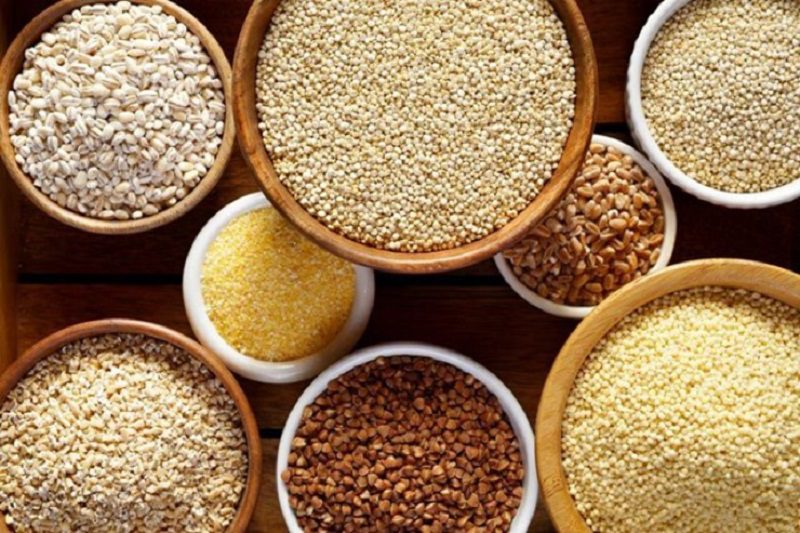 Protein lý tưởng