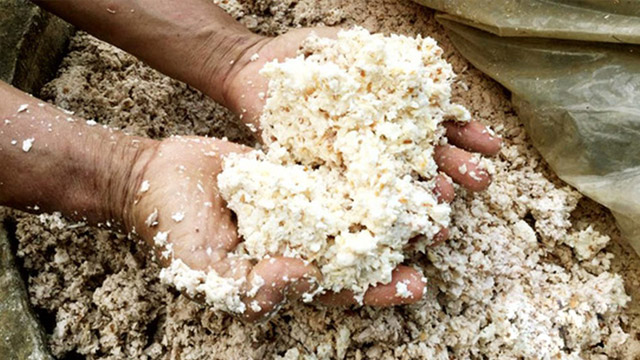 Lên men thức ăn gia cầm