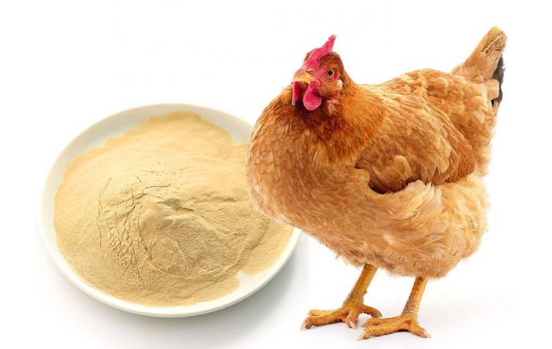 Nhóm kháng khuẩn đường ruột và kích thích tiêu hóa