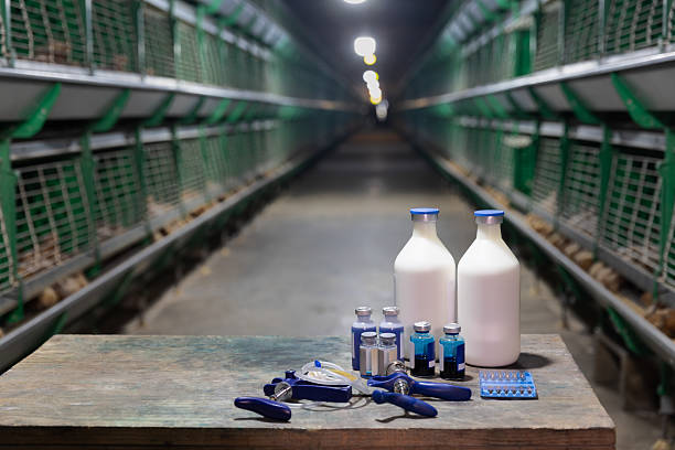 Bảo quản thuốc thú y đúng kỹ thuật