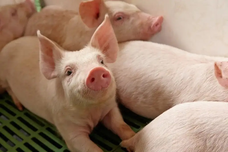 Ghi chép và theo dõi quá trình điều trị