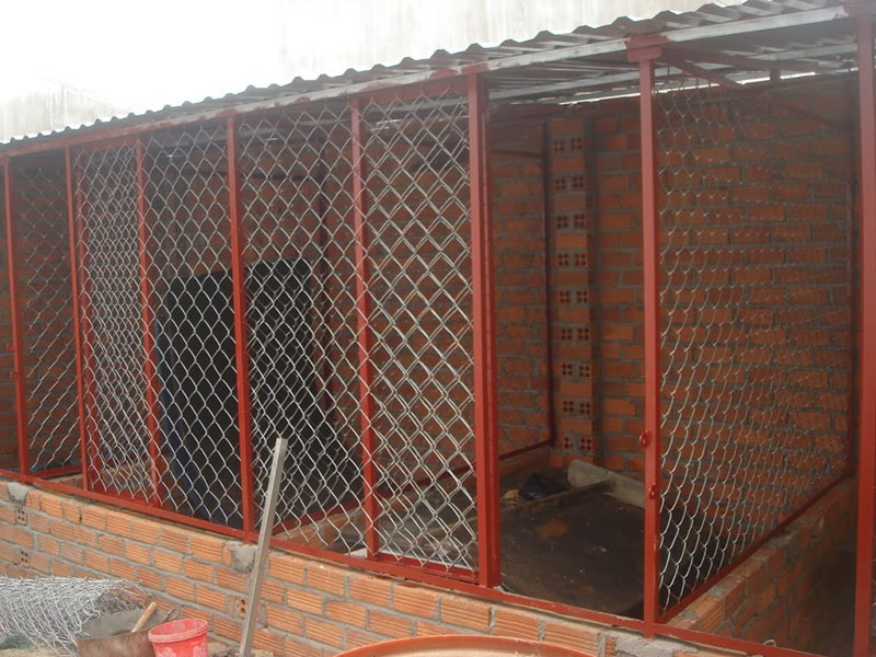 Chuẩn bị chuồng trại trong mô hình nuôi gà thả vườn