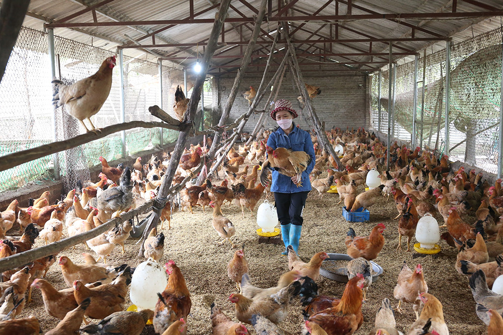 Quản lý chất thải 