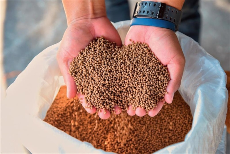 Quy chuẩn nguyên liệu và phụ gia