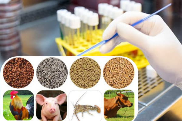 Kiểm nghiệm chất lượng thức ăn