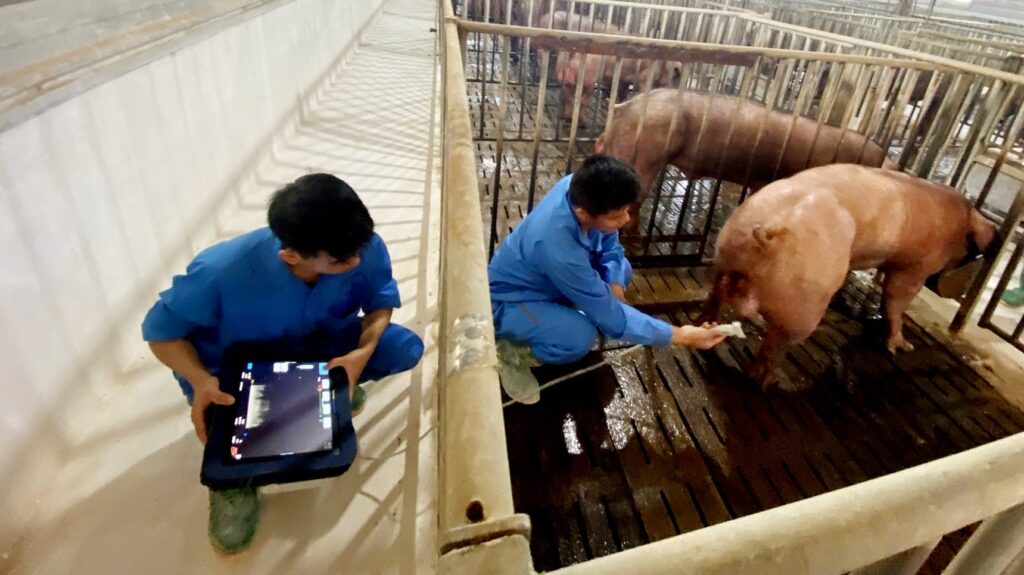 Vì sao nên áp dụng 